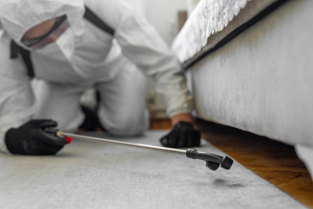 Professional Pest Control technician working in Henderson County County, NC